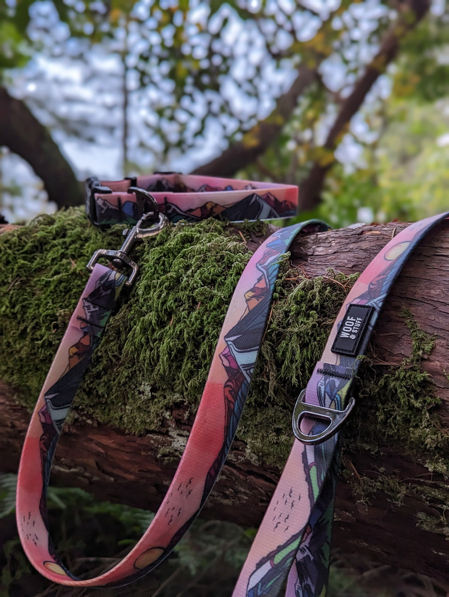 Waterproof Leashes
