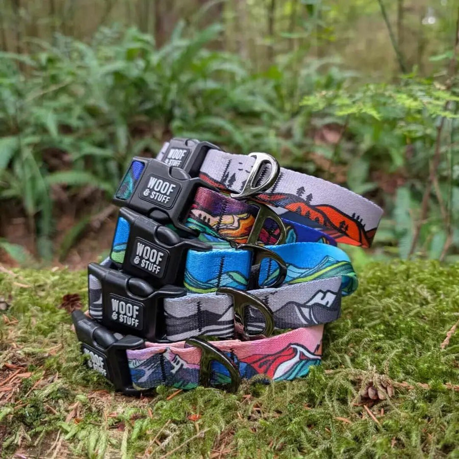 Adventure Fabric Dog Collars