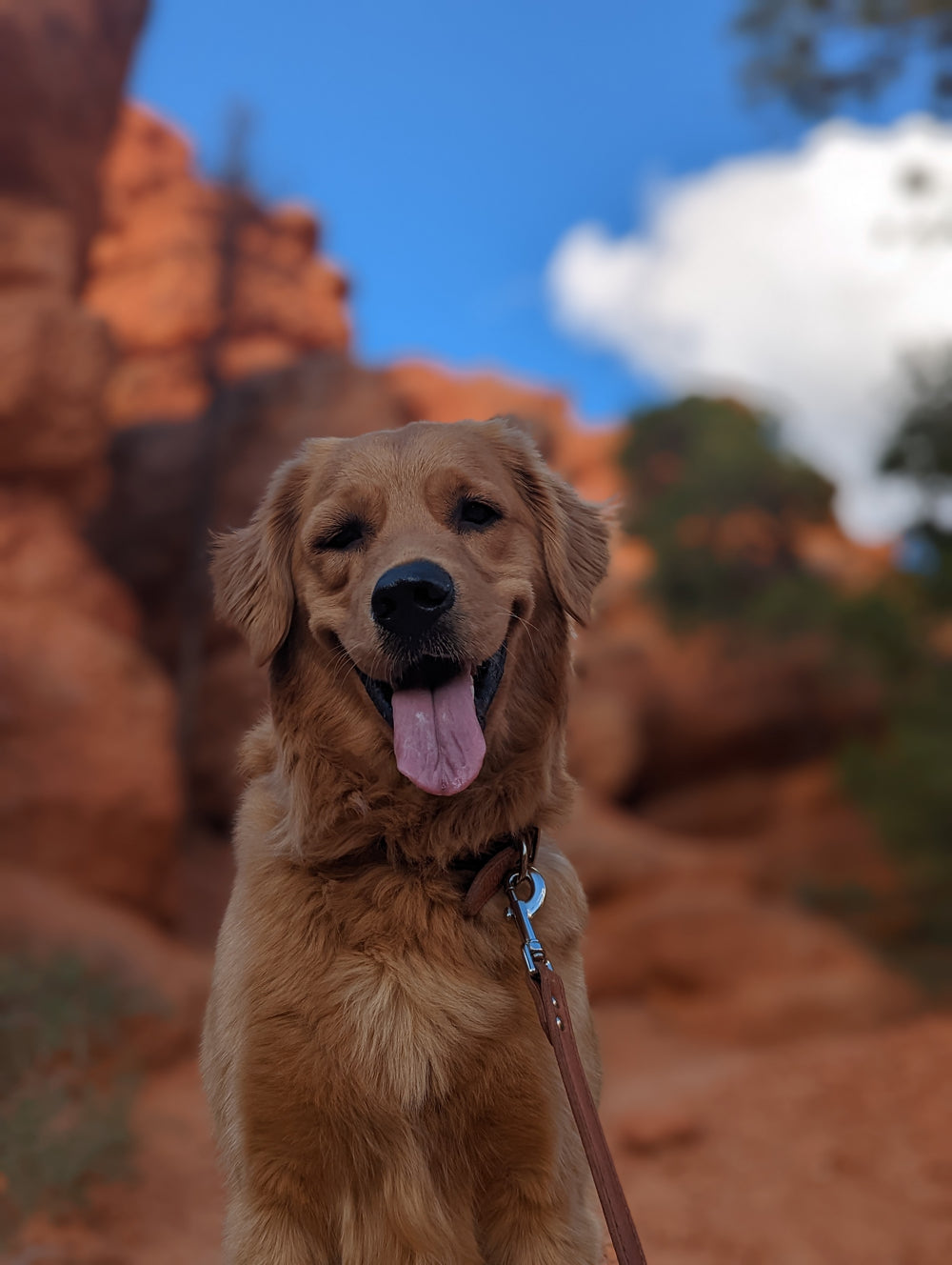 Tucker