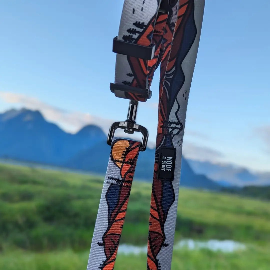 Premium Fabric Leashes Collection